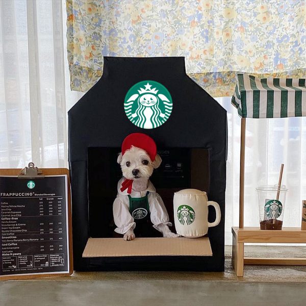 South Korea Cute Star Cat Work Clothes Dog Clothes - Image 4